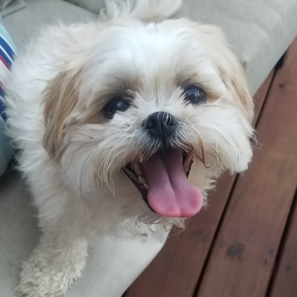 Meet your Posher, Bobbie Jo - Picture 1 of 2